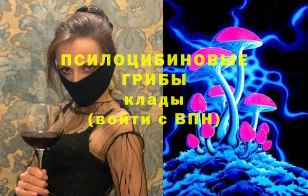 гидропоника Алзамай