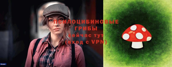 дмт Алексеевка