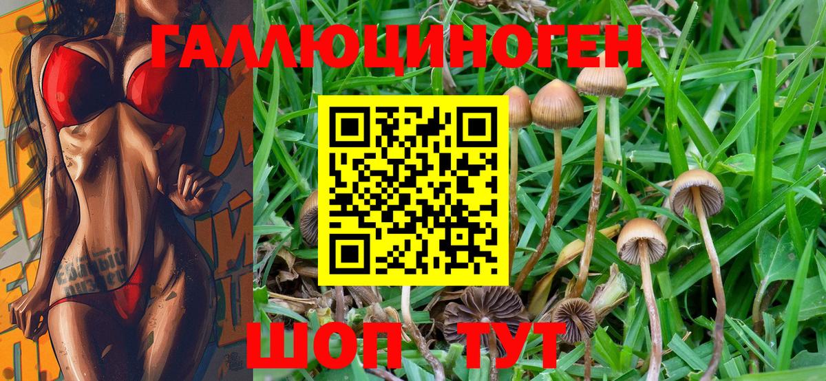 Галлюциногенные грибы мицелий Конаково