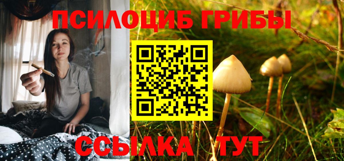 Галлюциногенные грибы Psilocybine cubensis  Вход с VPN  Псилоцибиновые грибы Cubensis  хочу наркоту  Конаково 