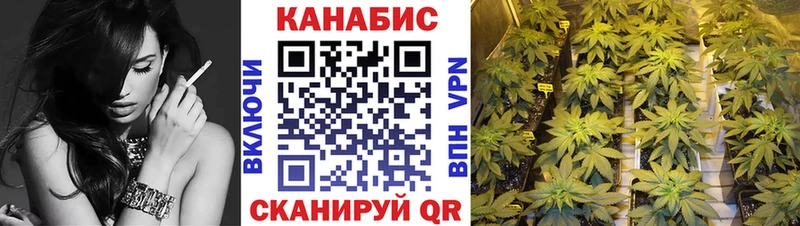 закладки  Конаково  Конопля MAZAR 